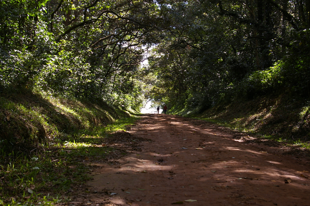 Kericho destination view