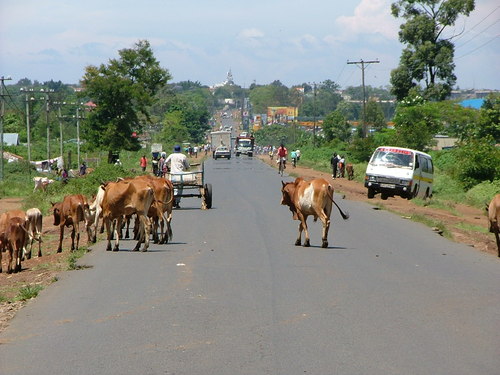 Narok destination view
