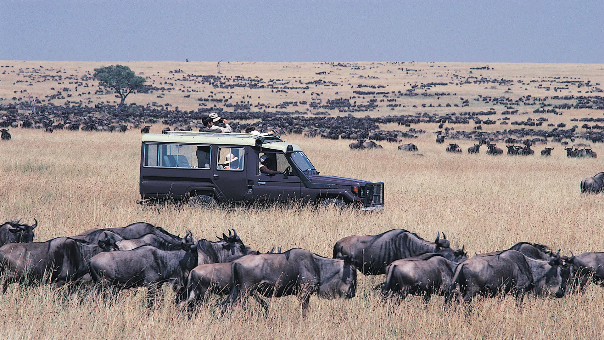 <a href="https://visitnairobikenya.com/experience/" style="color: white; font-weight: 400;">Experience</a>