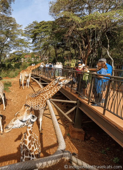 GIRAFFE CENTER - Visit Nairobi